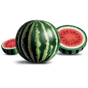 Watermelon Patch PNG 05232024 PNG