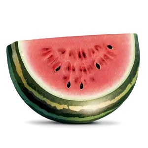 Watermelon Seed Germination PNG Mjy75 PNG