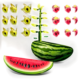 Watermelon Seedling PNG Oax PNG