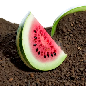 Watermelon Seeds In Soil PNG 83