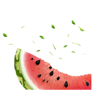 Watermelon Slice For Design PNG 78
