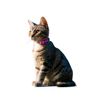 Waterproof Cat Collar Png 68 PNG image