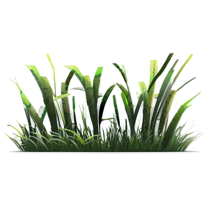 Waving Grass Animation Png Ypx PNG image