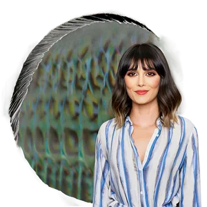 Wavy Curtain Bangs PNG Acr10 PNG