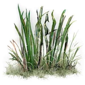 Weathered Grass PNG 17 PNG