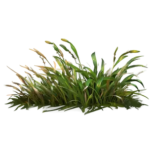 Weathered Grass PNG Juq PNG