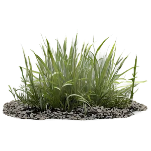 Weathered Grass PNG Ttm32 PNG