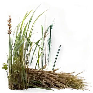 Weathered Grass Texture PNG Qyo91 PNG