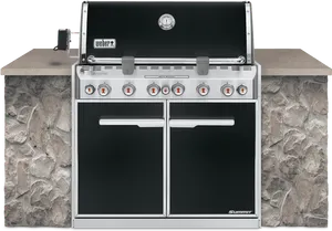 Weber Summit Grill Center Stainless Steel PNG image