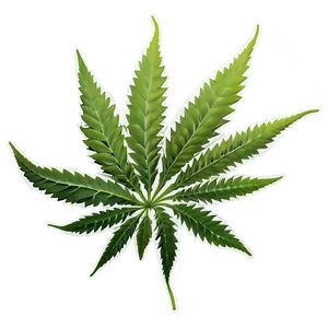 Weed Leaf Png 17 PNG image