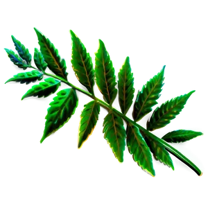 Weed Leaf Png Stg PNG image