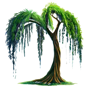 Weeping Willow Drawing PNG 17 PNG