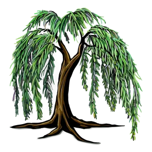 Weeping Willow Drawing PNG Cfx54 PNG