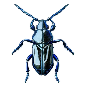 Weevil Anatomy Study PNG 06292024