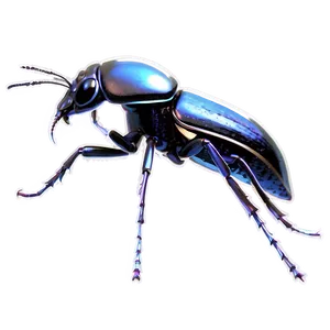 Weevil Educational Diagram PNG Evo31