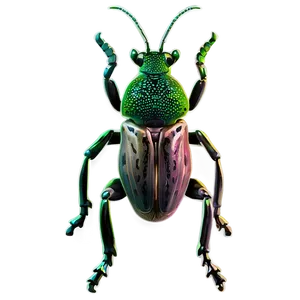 Weevil Evolution Chart PNG Gfv14 PNG