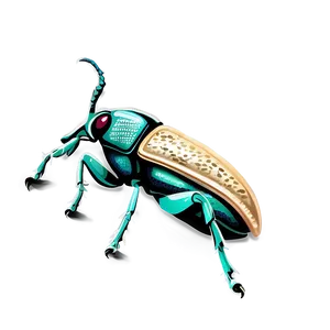 Weevil Illustration Png 06292024 PNG image