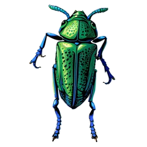 Weevil Illustration Png Qpa6 PNG image