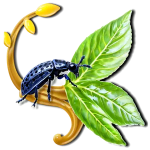 Weevil On Leaf Image PNG 13