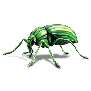 Weevil Pest Illustration PNG Fve57