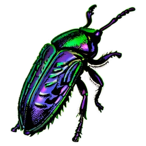Weevil Silhouette PNG Uly32 PNG