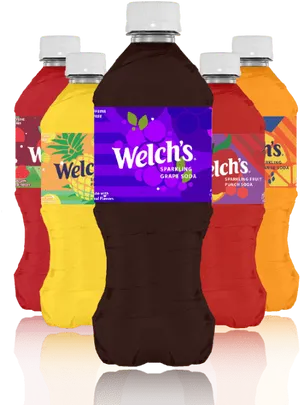 Welchs Sparkling Soda Variety Pack