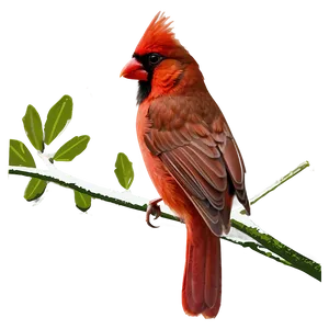 West Virginia State Bird Cardinal Png 06202024 PNG image