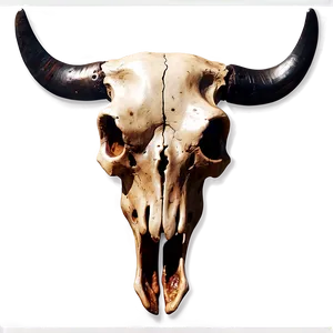 Western Bull Skull Graphic Png 74 PNG image