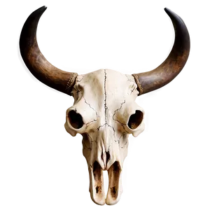 Western Bull Skull Graphic Png Opt86 PNG image