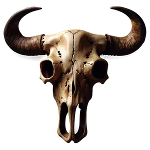 Western Bull Skull Graphic PNG Svm82 PNG