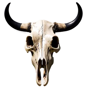 Western Cow Skull Graphic Png 8 PNG image