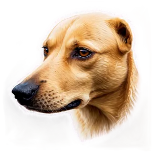 Wet Dog Nose Detail Png 06272024 PNG image