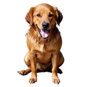 Wet Dogs PNG Nnc PNG