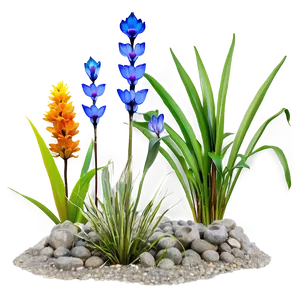 Wetland Plants PNG Bpv2