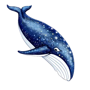 Whale And Stars Png Gjf10 PNG image