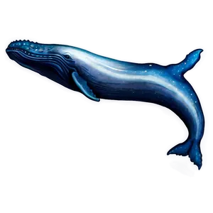 Whale Galaxy Png 05232024 PNG image