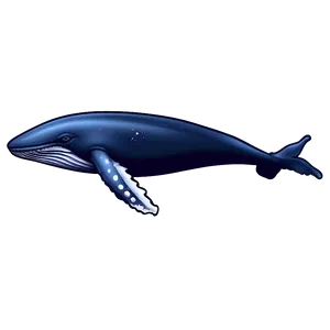 Whale Illustration Png 29 PNG image