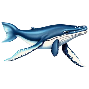 Whale Illustration Png Ikf80 PNG image