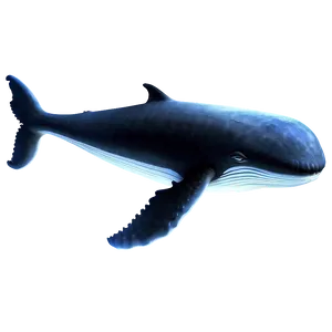 Whale Outline Png 99 PNG image