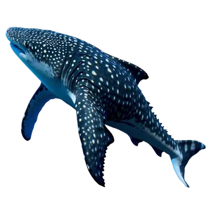 Whale Shark Png Mdh PNG image