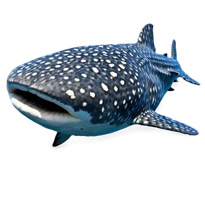 Whale Shark Png Pvt68 PNG image