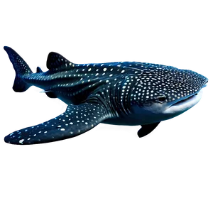 Whale Shark Png Tnv87 PNG image