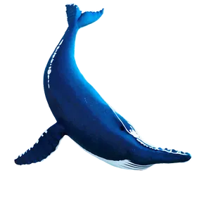 Whale Silhouette Png 63 PNG image