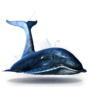 Whale Tail Icon Png 05232024 PNG image