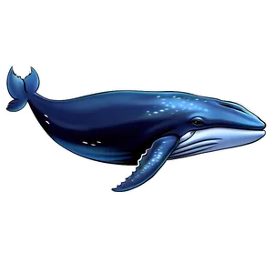 Whale Underwater Png 81 PNG image