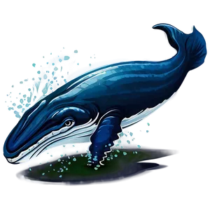 Whale Vector Art Png Kvt PNG image