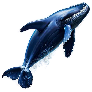 Whale Vector Art Png Ltr PNG image