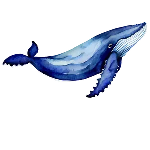 Whale Watercolor PNG 51 PNG