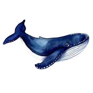 Whale Watercolor Png Qdu PNG image