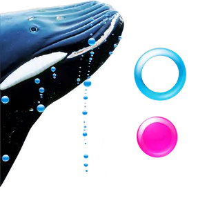 Whale With Bubbles Png Mrc91 PNG image